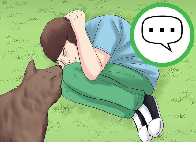 Τρόπος προστασίας σε περίπτωση επίθεσης από σκύλο