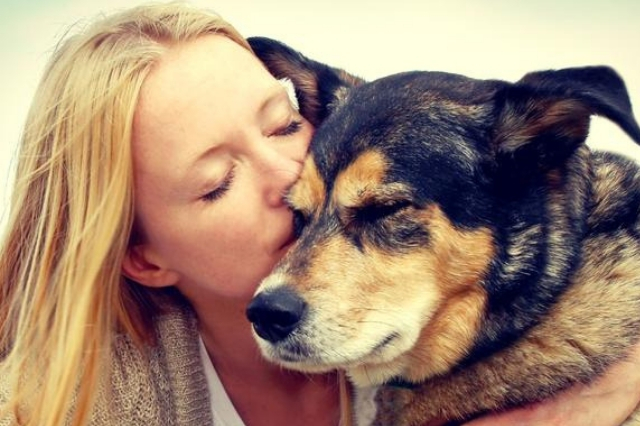 Τυφλος σκυλος φροντιδα