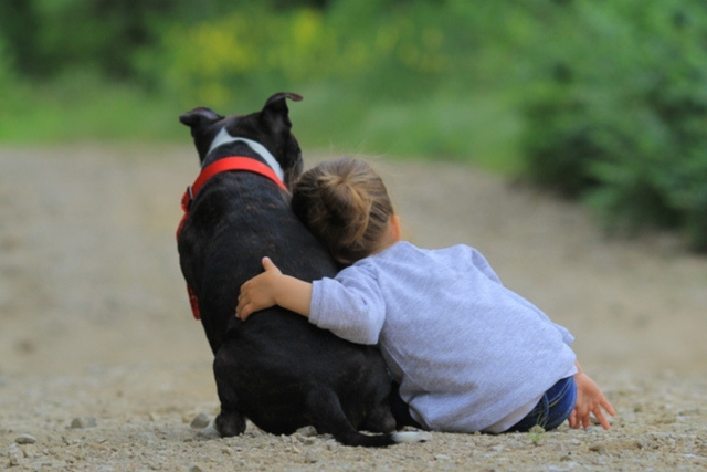 Αποχαιρετισμός στον Σκύλο